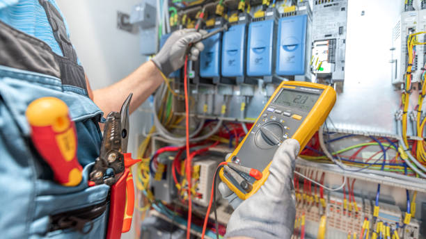 Best Electric Panel Repair  in Benavides, TX